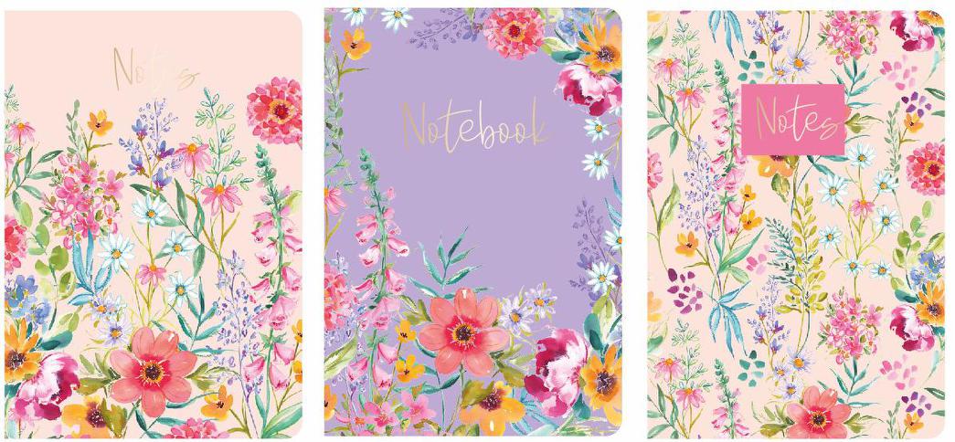Aurora 3 Pack A4 Notebooks