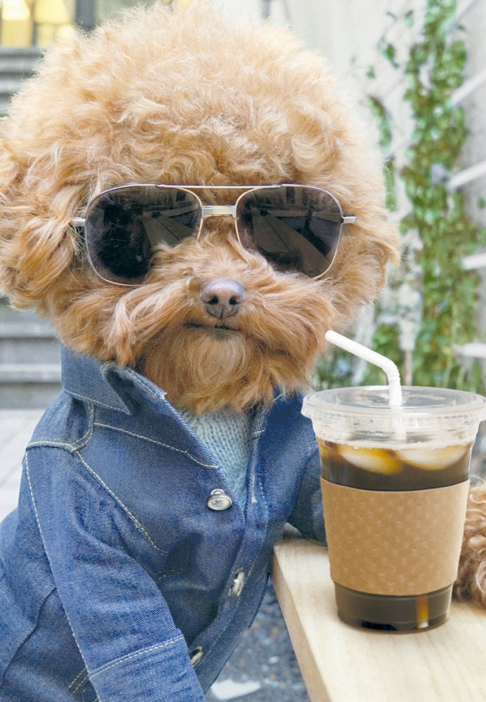 Card Birthday Dog Coffee & Chill