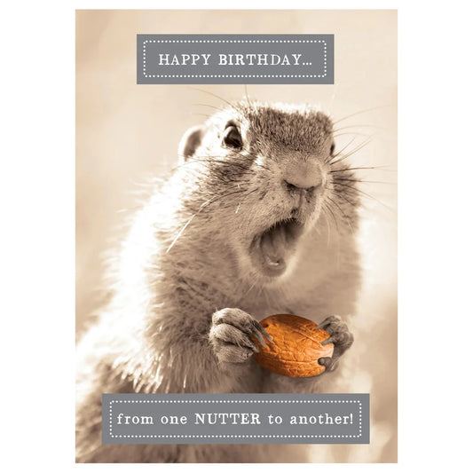 Nutter Squirrel