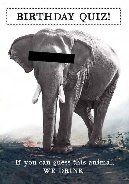 Elephant - We Drink