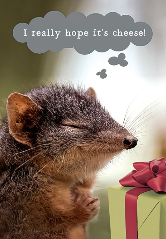 Hope Its Cheese Mouse