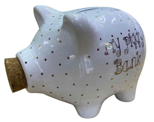Money Box Piggy Bank 16cm