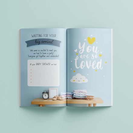 Baby Milestone Cards