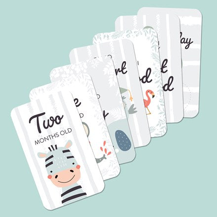 Baby Milestone Cards