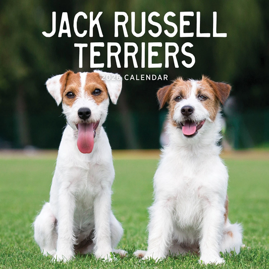 Jack Russell Calendar: 2026