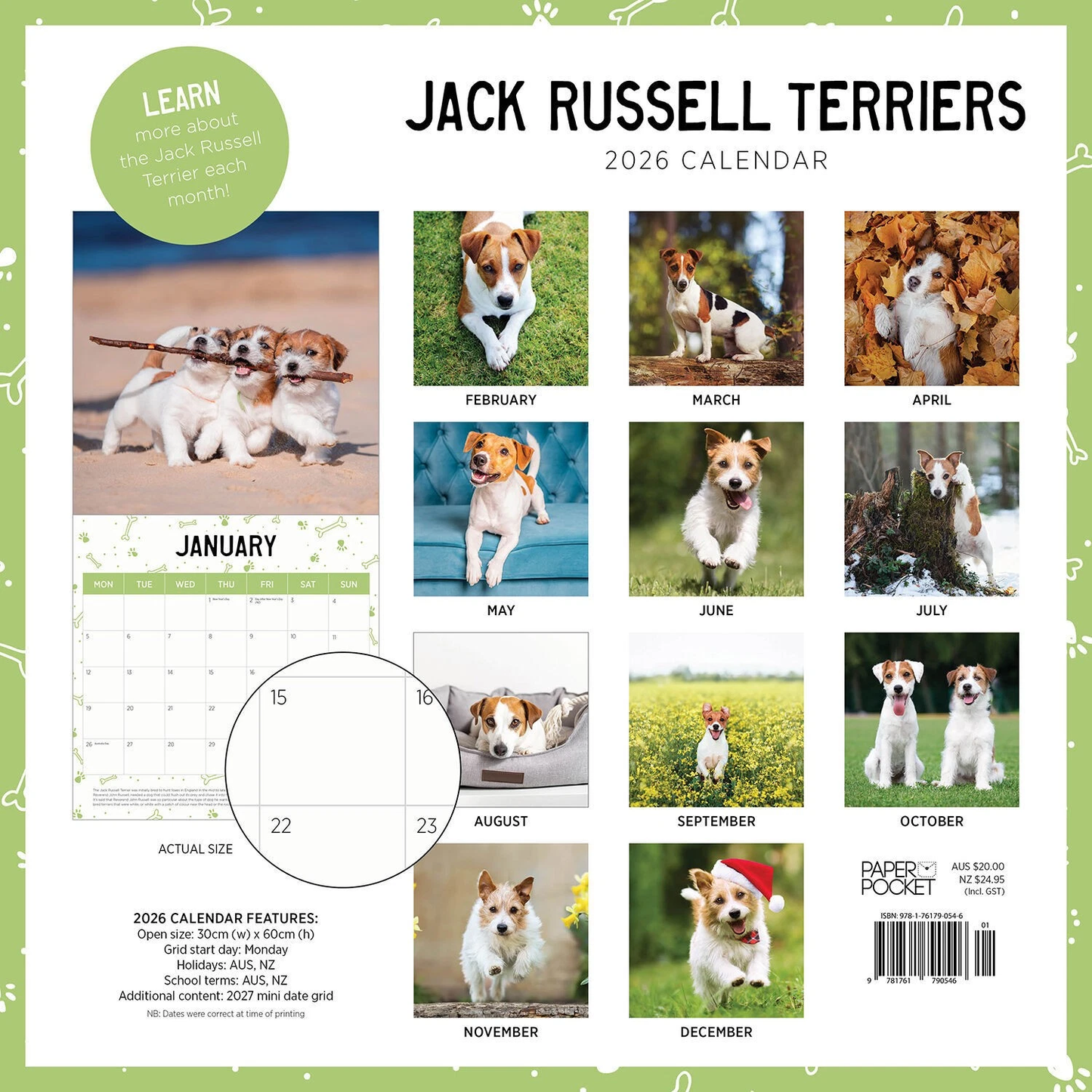 Jack Russell Calendar: 2026