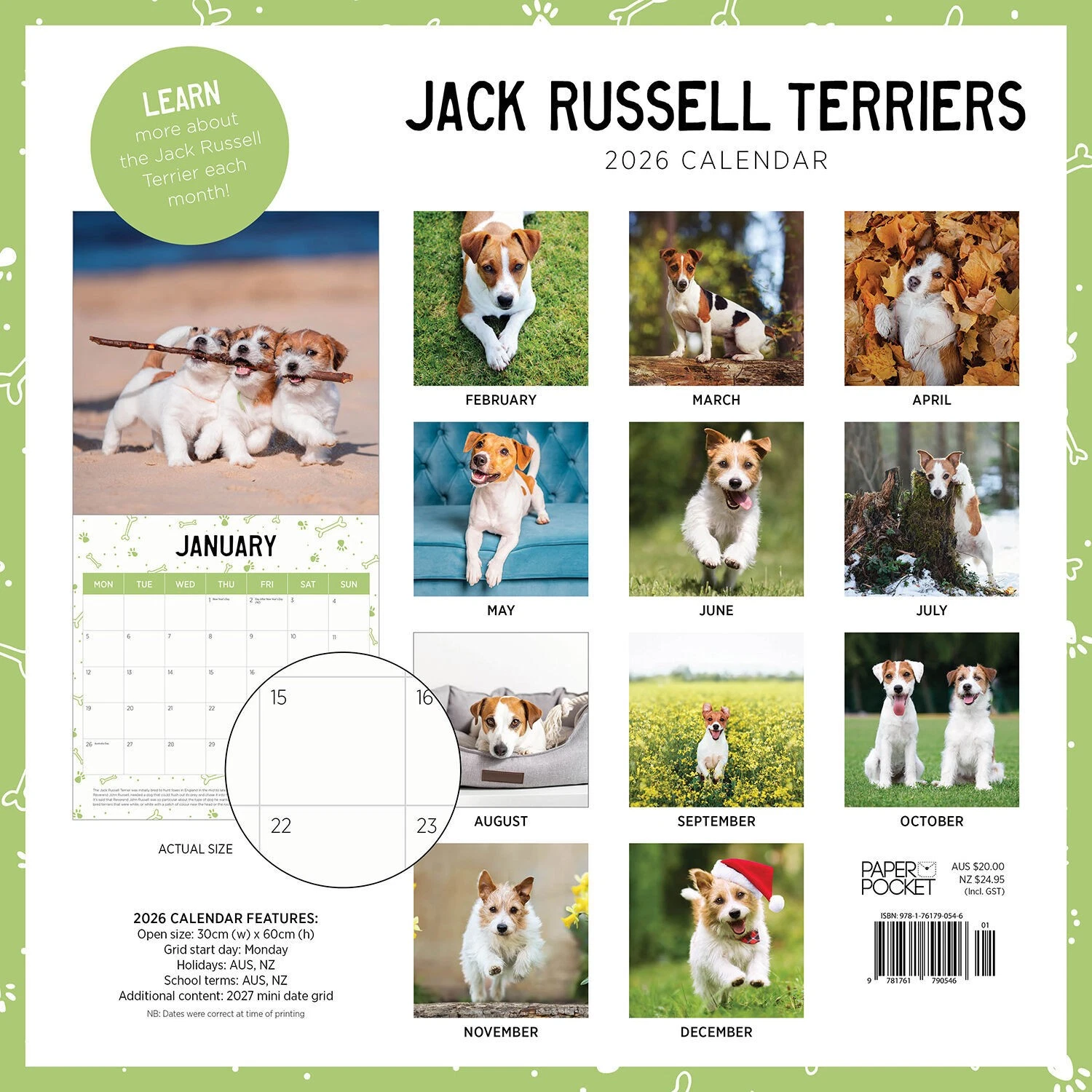 Jack Russell Calendar: 2026