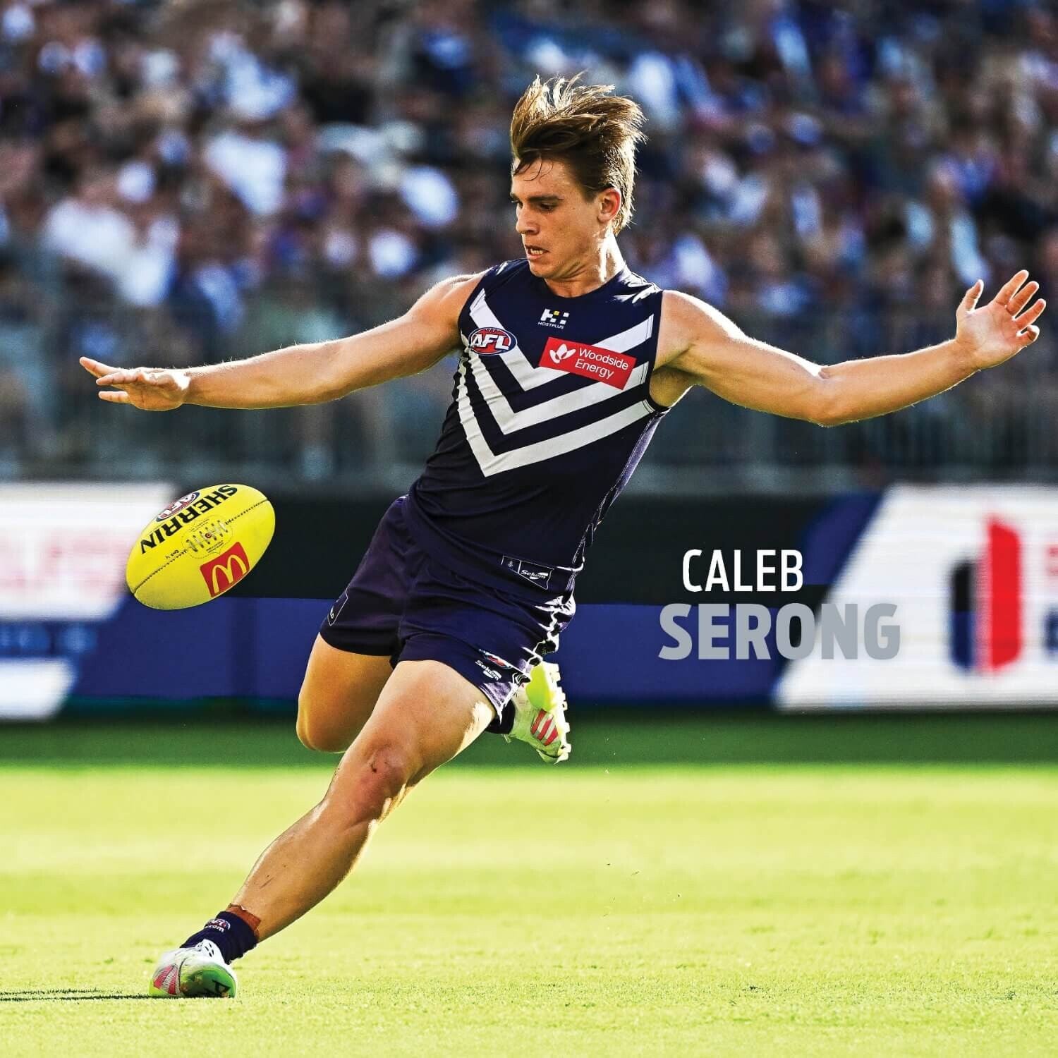 Afl Fremantle Dockers Calendar: 2026