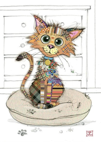 Kimba Kitten