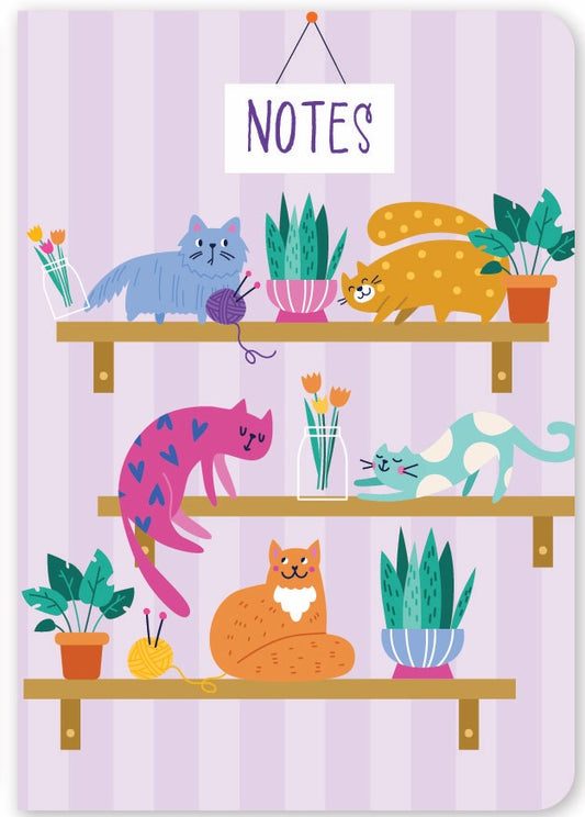 Cattitude 3 Pack A5 Notebooks