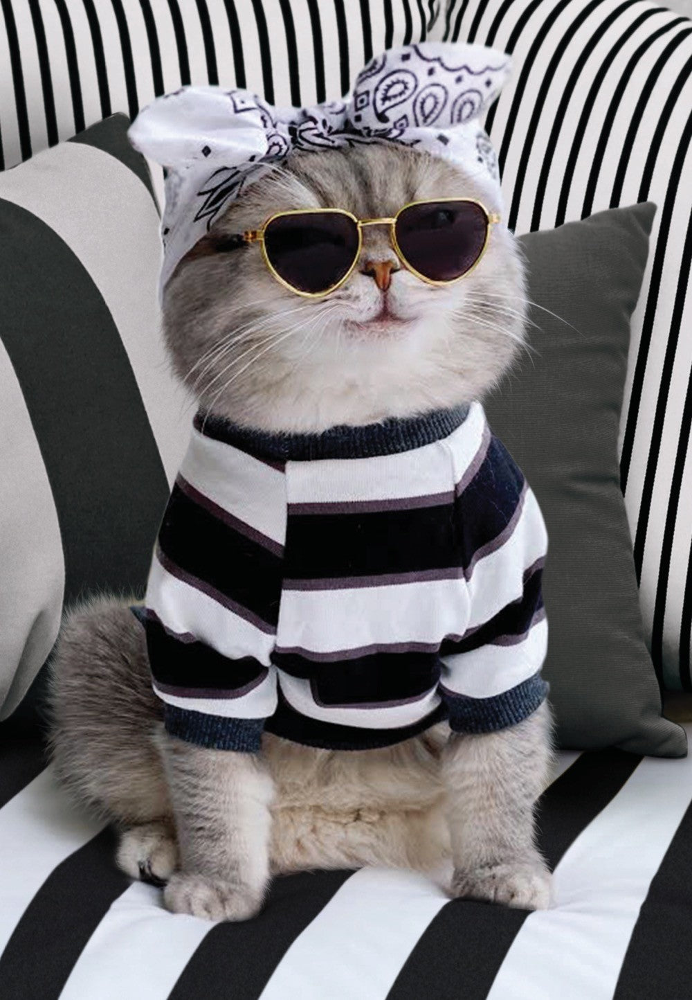 Card Avanti Es Bandana Cat