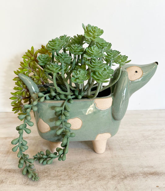 Yr Lrg Puppy Pot Planter