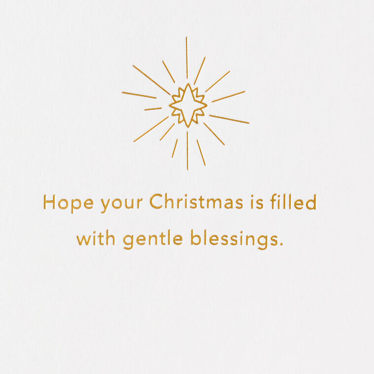 Signature Oholly Night Christmas Cards