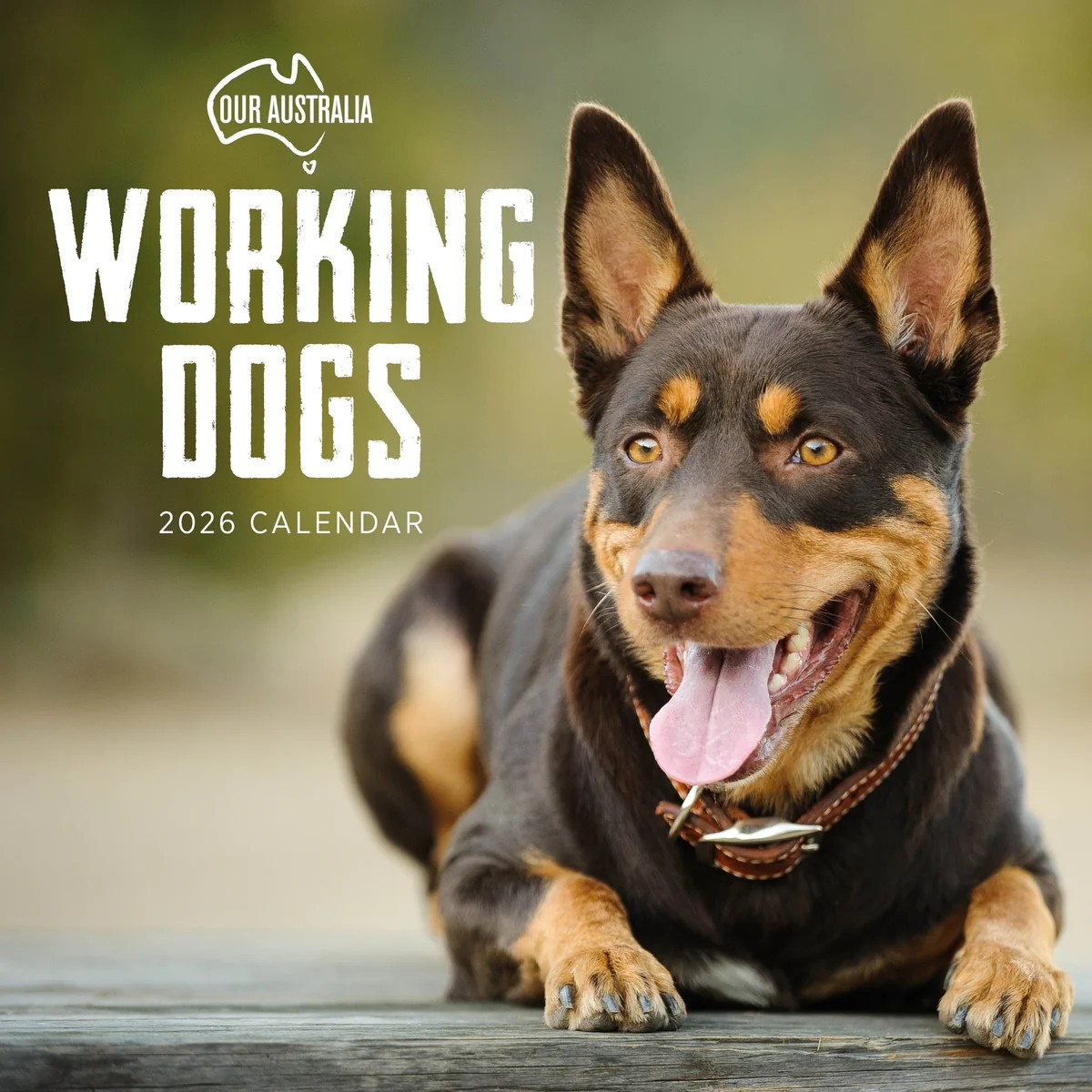 Our Aust Working Dogs Calendar: 2026