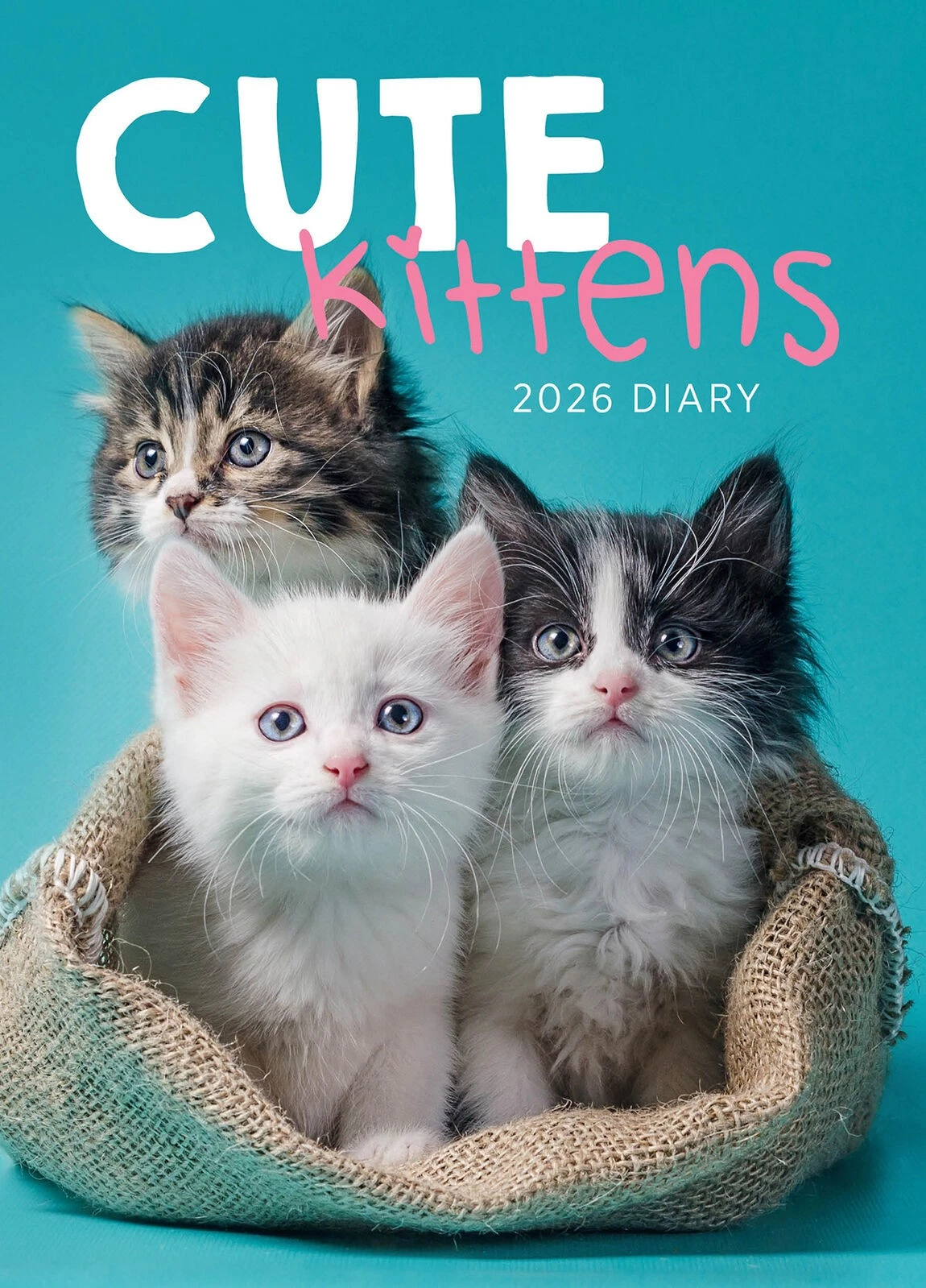 Cute Kittens Diary: 2026